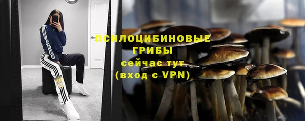 прущая мука Богородицк