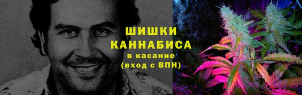 прущая мука Богородицк