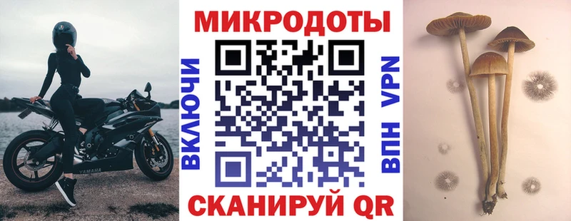 Галлюциногенные грибы мицелий  Демидов 